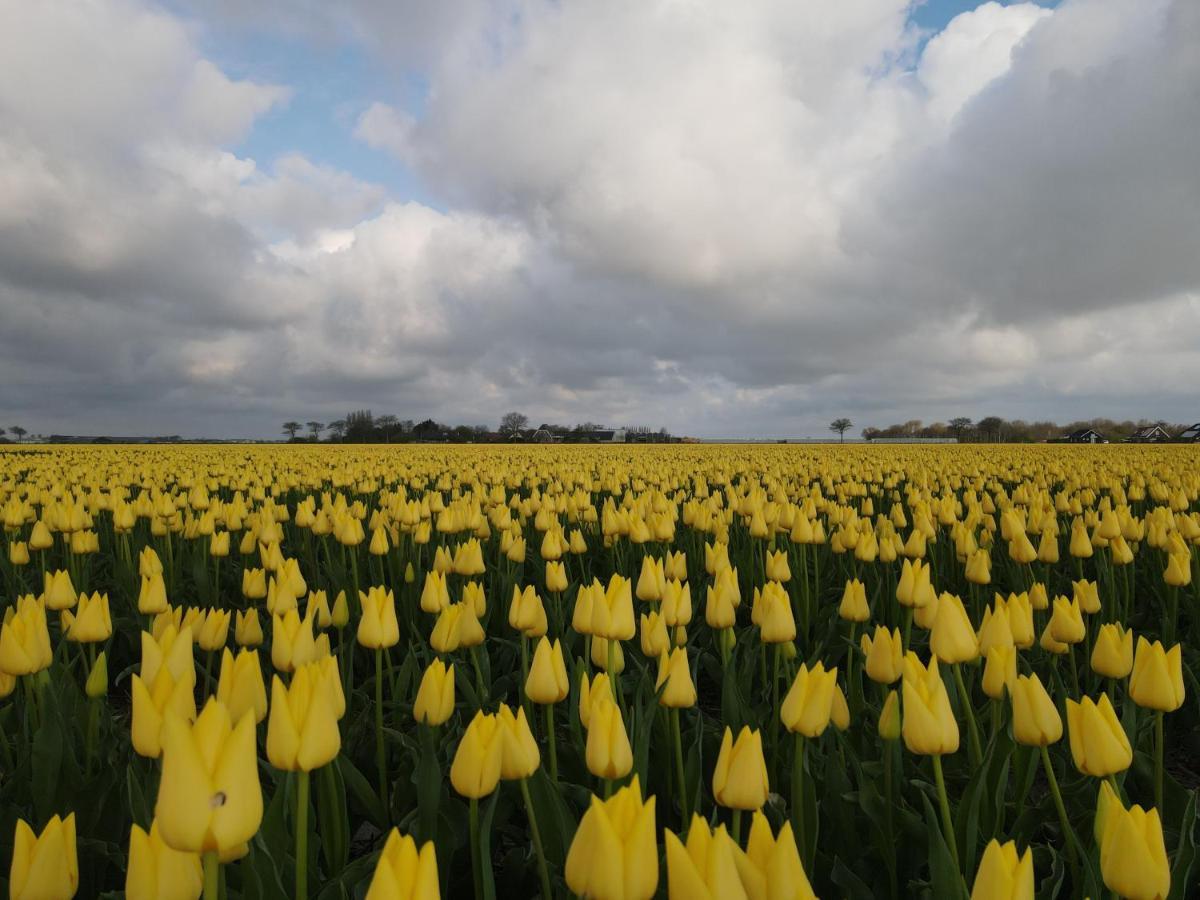 Camping De Tulpenweide Lege Kampeerplaats, Lege Plaats Op Het Gras Zonder Bed Breezand Exterior photo
