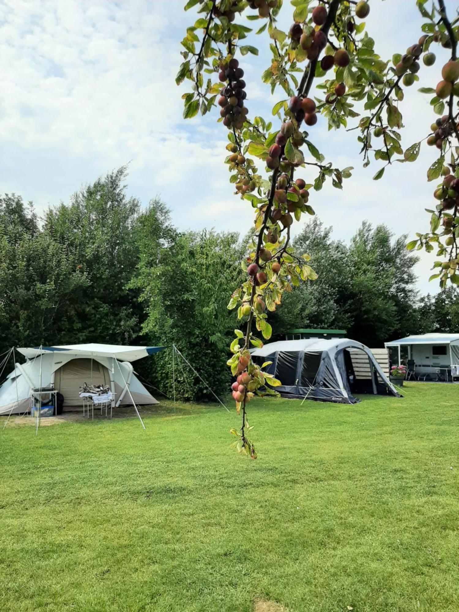 Camping De Tulpenweide Lege Kampeerplaats, Lege Plaats Op Het Gras Zonder Bed Breezand Exterior photo